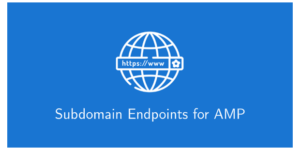 Subdomain Endpoints for AMP 1.1.5