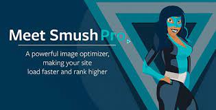 Wp Smush Pro 3.10.1
