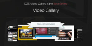 Dzs Video Gallery 11.7.21