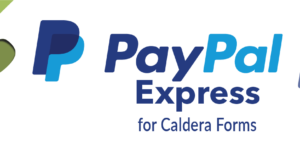 Paypal Pro And Paypal Express 1.4.5
