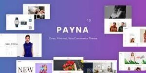 Payna 1.1.4