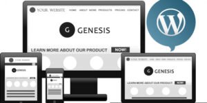 StudioPress Genesis Framework 3.3.4