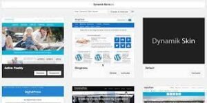 Dynamik Website Builder Including Skins 2.6.9.9