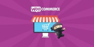 WooCommerce Gravity Forms Product Add-Ons 3.6.9