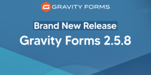 MonsterInsights Plus 8.10.1