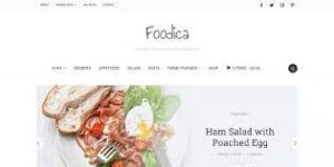 Wpzoom Foodica 3.0.6