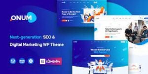 Onum SEO Marketing Elementor WP Theme 1.2.8.3