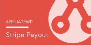 Affiliatewp Stripe Payout By Wooninjas 1.2.0