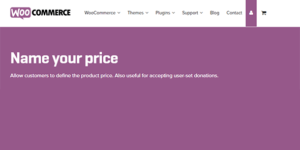 WooCommerce Name Your Price 3.3.9