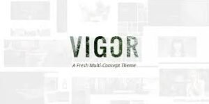 Vigor 3.2