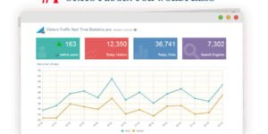 Visitor Traffic Real Time Statistics Pro 8.6