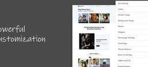 Theme Palace Blogpost Pro 1.0.0